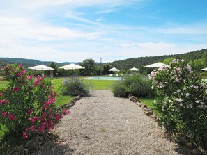 Plante, Fleur, Nuage, Ciel, Paysage Naturel, Lot Terre, Arbre, Herbe, Couverture De Sol, Loisir