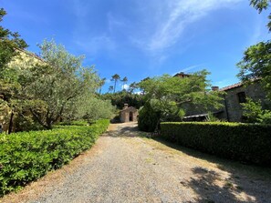 Property grounds - Cosy apartment for 4 guests with pool, WIFI, A/C, TV and patio (Podere Dottrina)