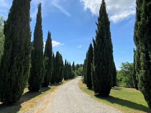 Property grounds - Nice apartment for 6 people with A/C, WIFI, pool, TV and patio (Podere Dottrina)