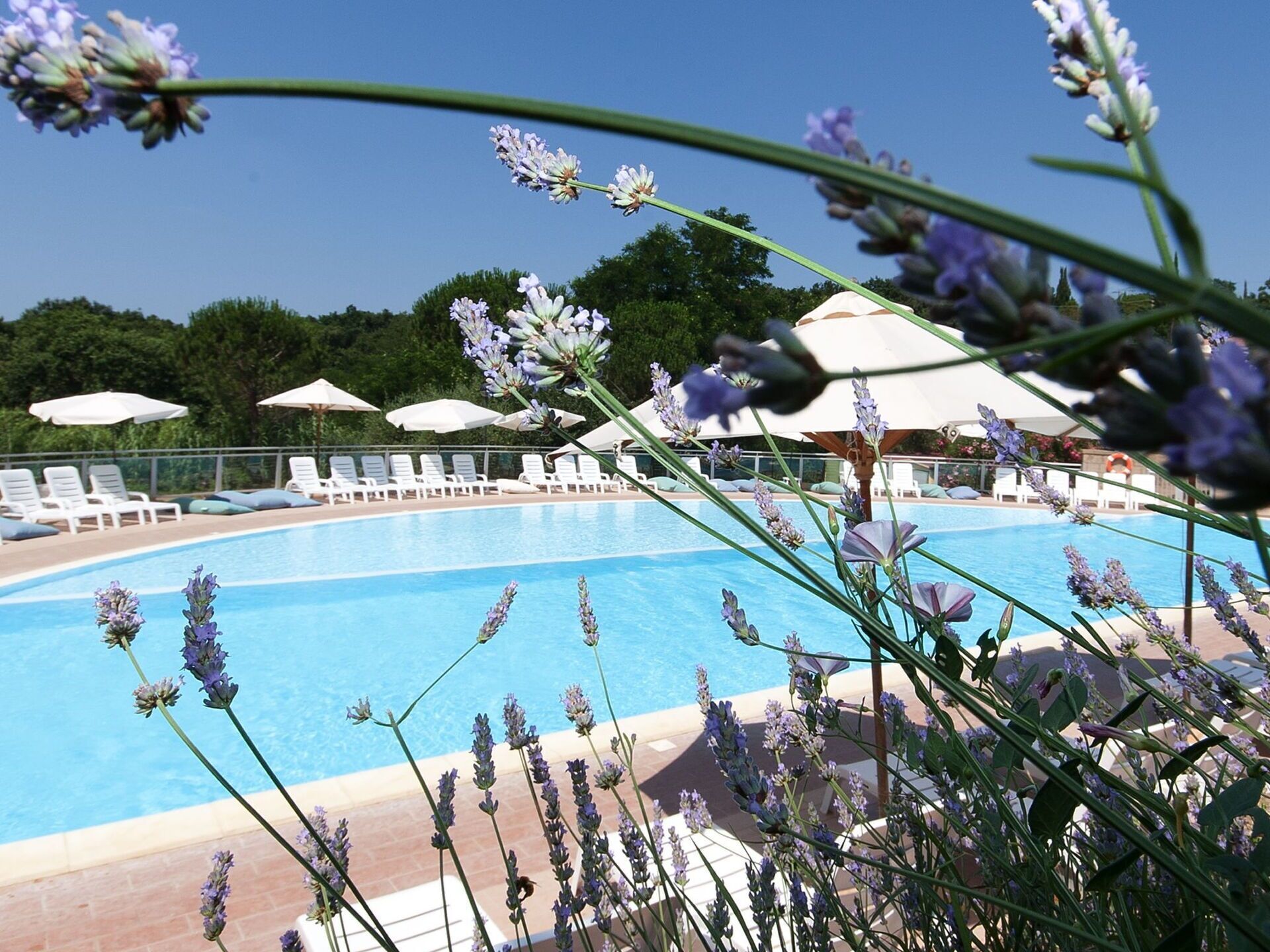 حمام سباحة