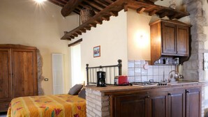 A cozy room with a bed, a small kitchenette, and wooden cabinets. - Cosy apartment in villa for 2 guests with WIFI, TV, patio and pets allowed (Roccastrada)