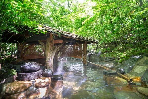 Hot springs - inn NOSHIYU (Minamioguni)