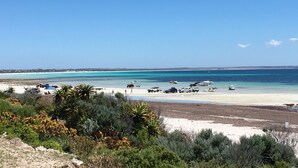 Una playa con aguas turquesas cristalinas, una orilla arenosa y algo de vegetación en primer plano.
