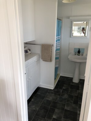Shower, hair dryer, soap, toilet paper
