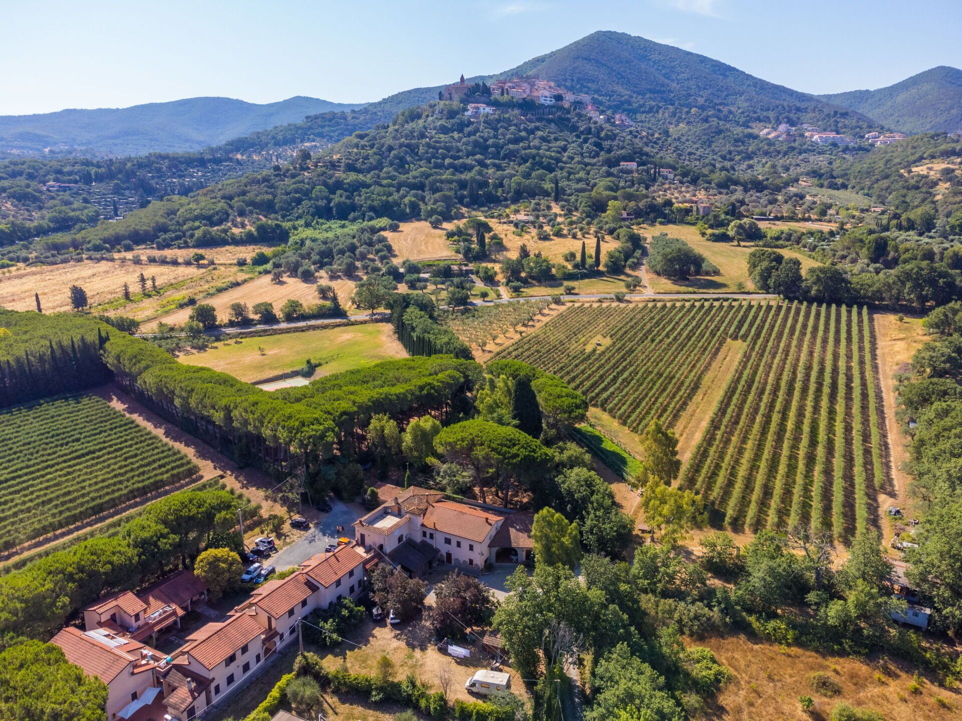 Eine Vogelperspektive auf eine ländliche Gegend mit terrassierten Weinbergen, ein großes Gebäude mit roten Ziegeldach und ein Berg im Hintergrund.