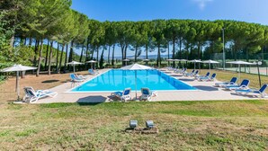 A rectangular swimming pool surrounded by lounge chairs and umbrellas, with a backdrop of tall trees and a clear sky. - Nice apartment for 6 people with A/C, pool, WIFI, TV and terrace (Scarlino)