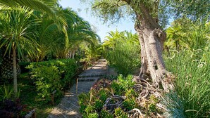 A stone pathway flanked by lush greenery and a large tree. - Nice apartment in villa for 6 people with WIFI, A/C, pool, TV, terrace and pets allowed (Castiglione Della Pescaia)
