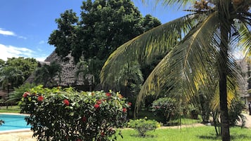 Garden view