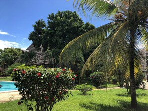 Vista al jardín