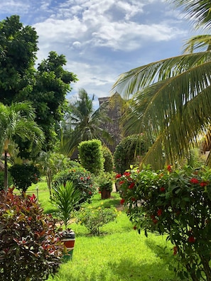 Vista al jardín
