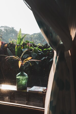Beachside Cottage | Balcony view