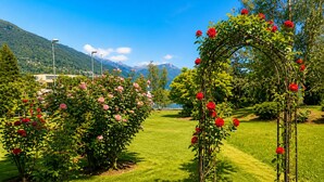 Un jardin agrémenté d’une arche couverte de rosiers, d’une pelouse verdoyante et luxuriante, et dominé par un paysage montagneux.