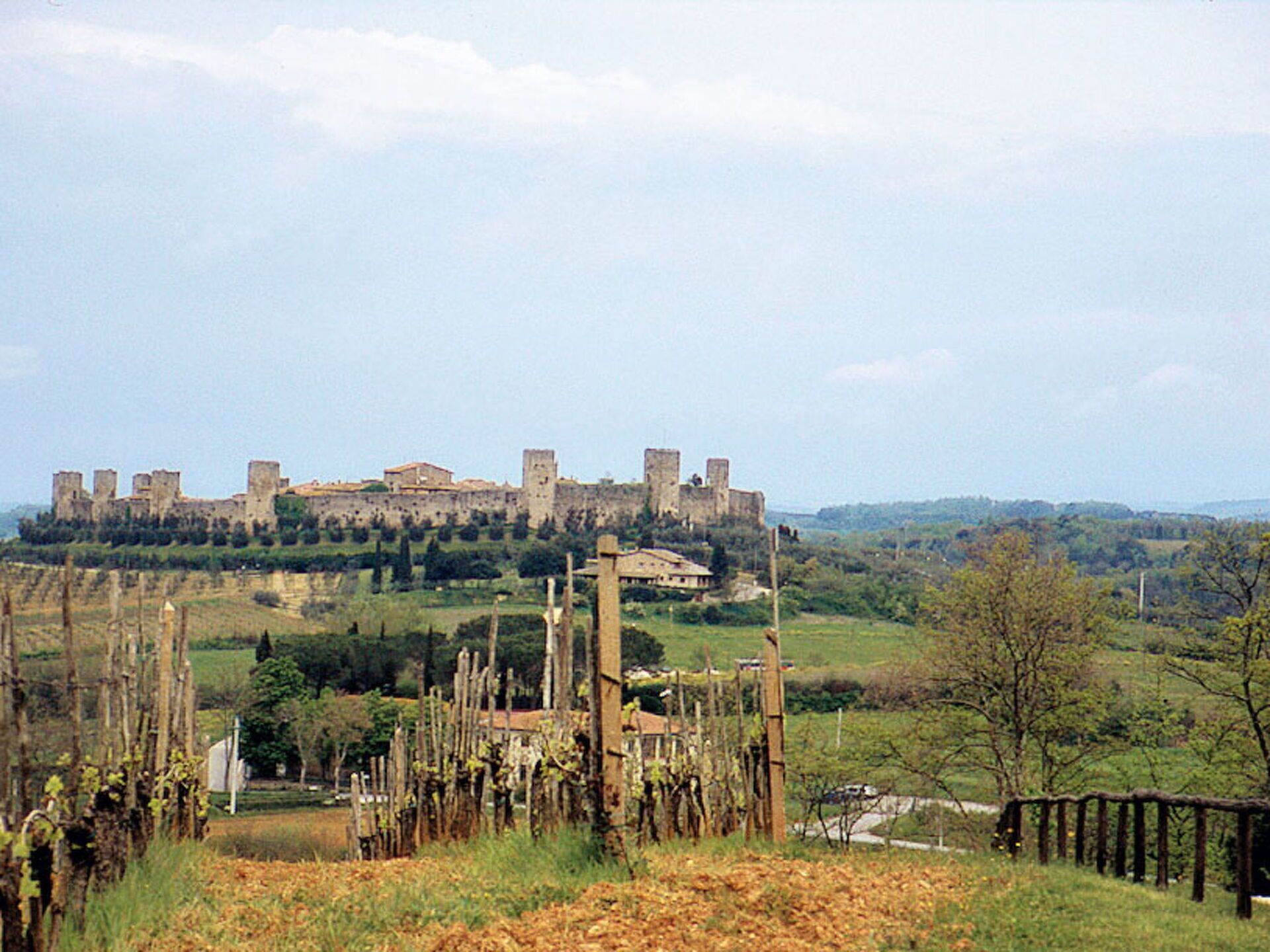 Un castello storico su una collina, con un vigneto in primo piano.