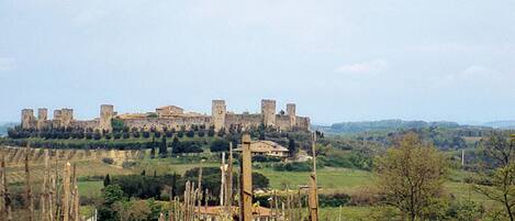 Un castello storico su una collina, con un vigneto in primo piano.