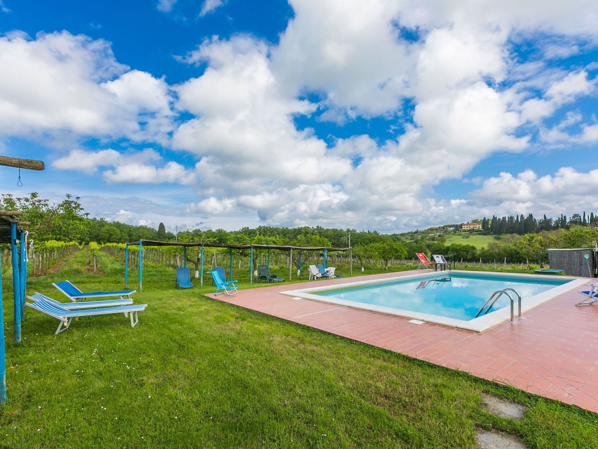 A pool area with a clear sky, a grassy lawn, and a vineyard in the background.