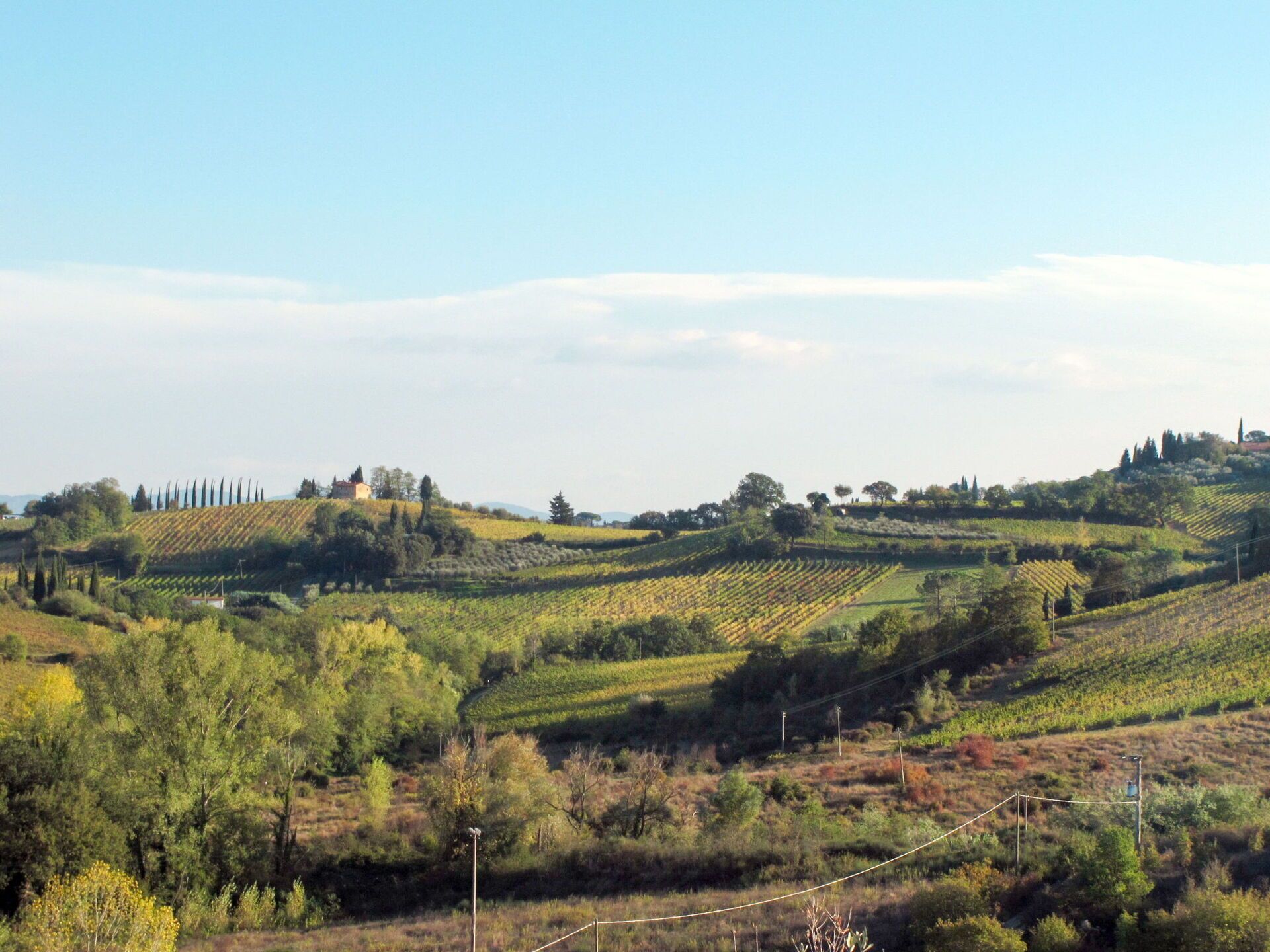 Paisagem de vinhedo com colinas ondulantes e fileiras de videiras.