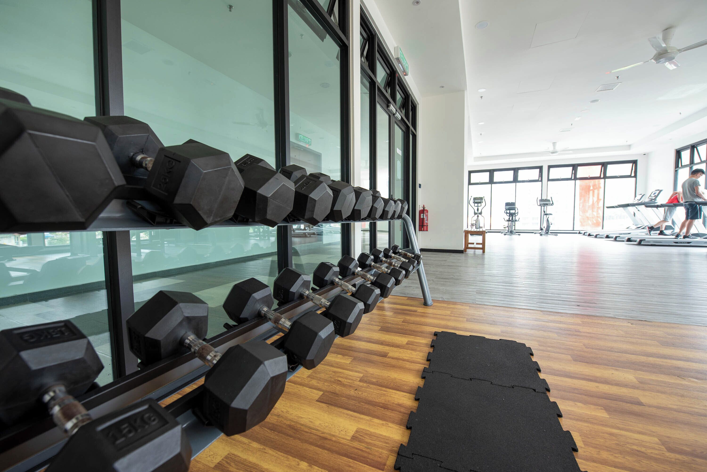 A gym with a row of hexagonal dumbbells on a rack, wooden flooring, and large windows.