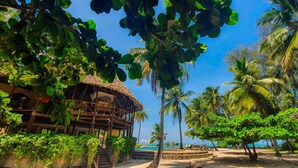 Bar (on property) - AHG Maya Bay Resort & SPA (Michamvi)
