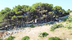 Unclassified image, 4 of 36, button - Romantic trullo with sea access and stunning views (house G) (Castro)