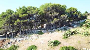 Parco della struttura