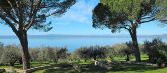 Lovely apartment for 5 guests with pool, WIFI, TV, patio and pets allowed