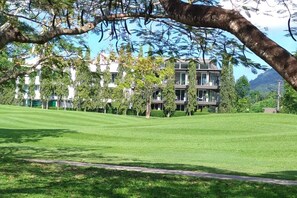 Golfe