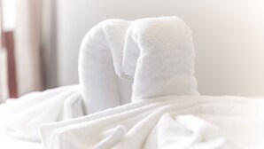 Ảnh chưa phân loại, 2 trong số 41 ảnh, nút