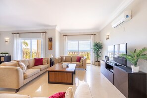 TV, fireplace, video games, DVD player