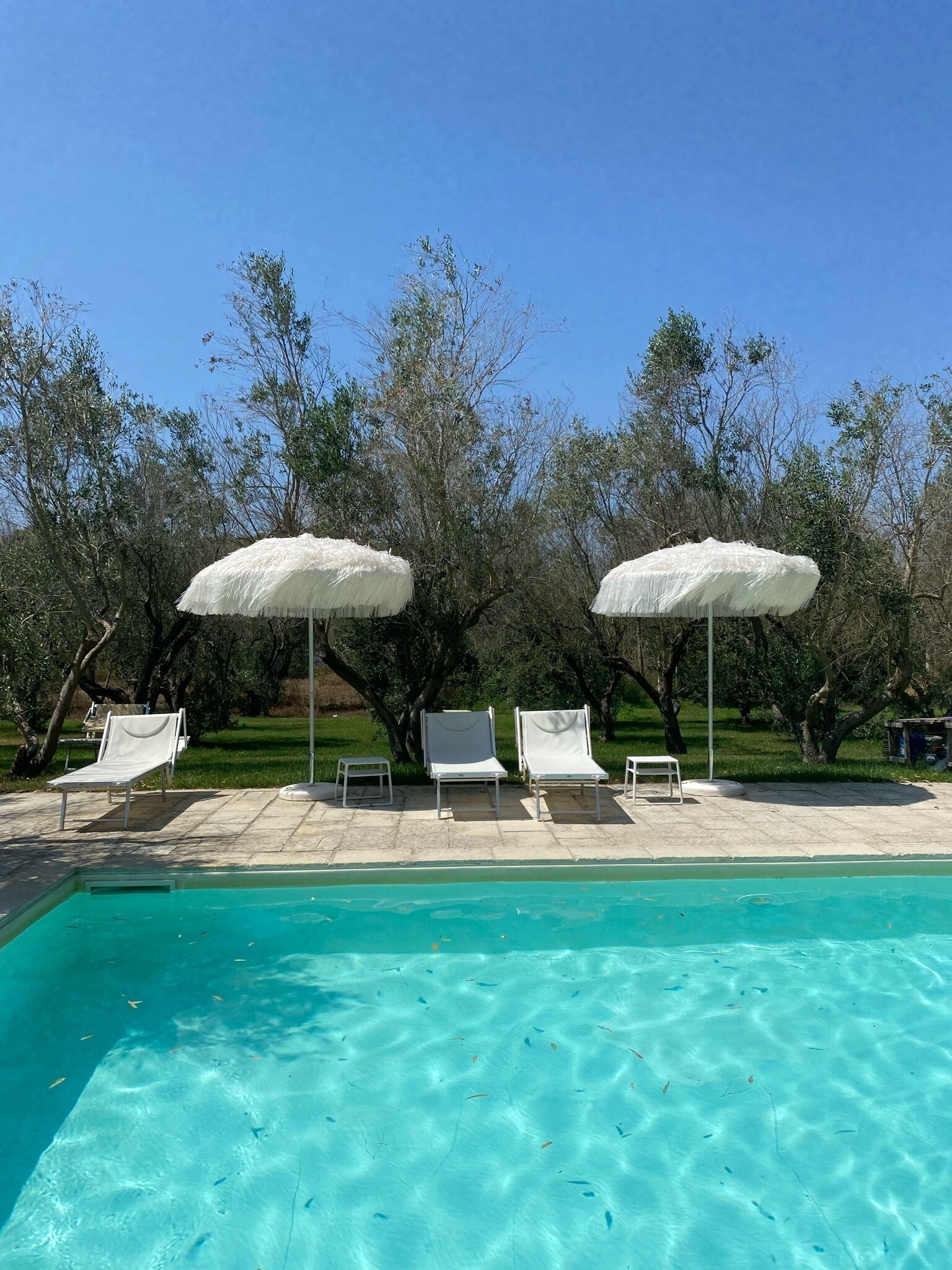 Piscina stagionale all'aperto, ombrelloni da piscina, lettini