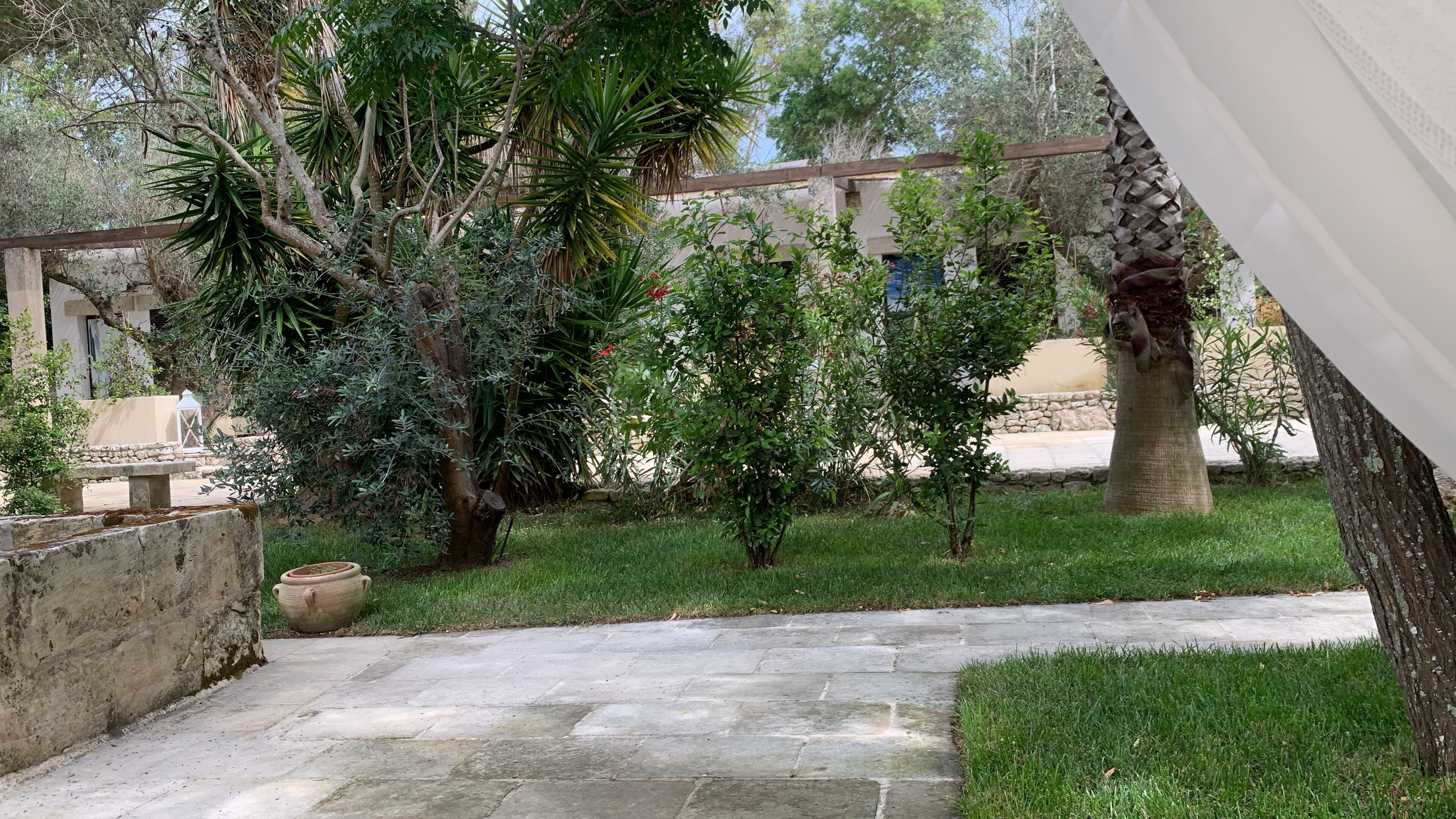 A courtyard with a stone pathway, various trees, and a stone wall.