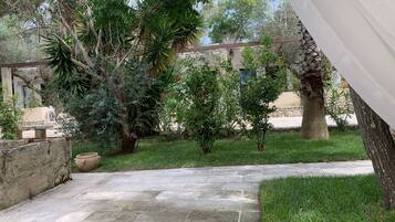 A courtyard with a stone pathway, various trees, and a stone wall.
