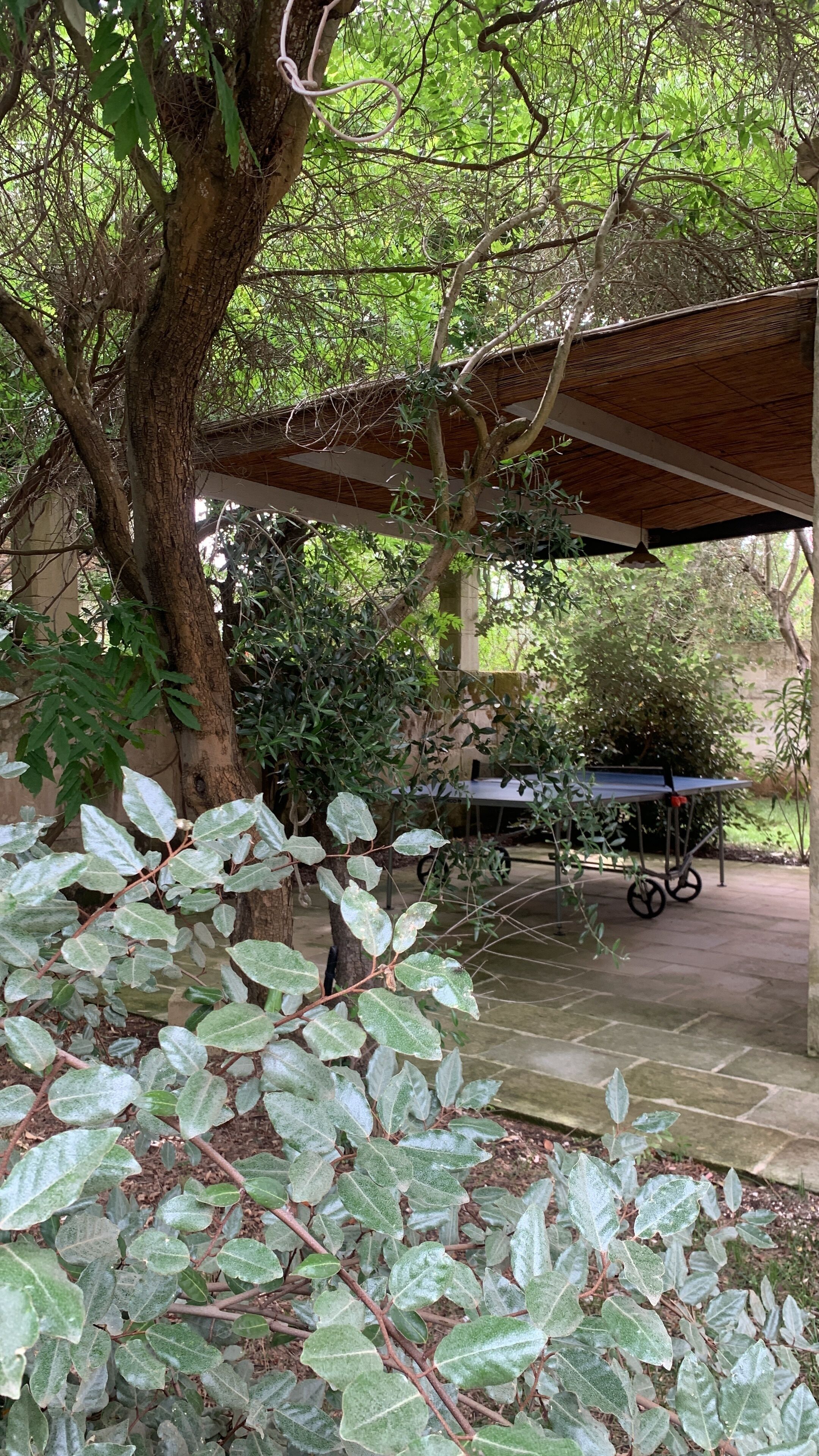 Un espacio al aire libre techado con una mesa y sillas, rodeado de árboles y vegetación.