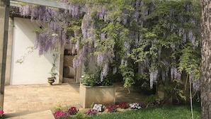 A garden with a pergola covered in purple wisteria vines, a stone pathway, and potted plants. - Tenuta Sidore (Cursi)