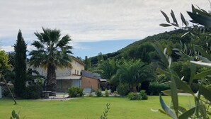 Un césped con una palmera, un árbol pequeño y un edificio con techo inclinado.