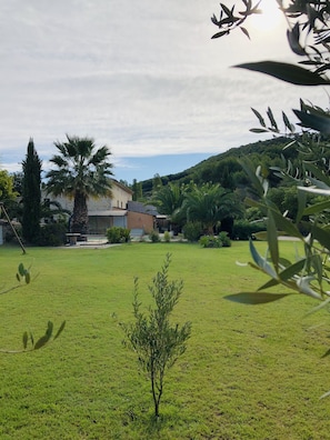 المنطقة المحيطة بالمنشأة