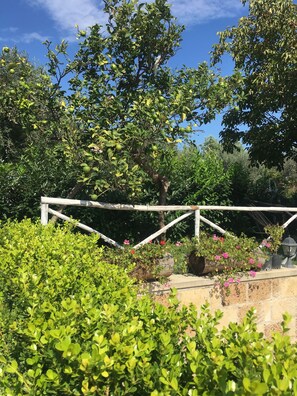 Terrein van de accommodatie