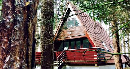 Pet-friendly Scandinavian A-Frame woodland retreat on the North Norfolk coast!