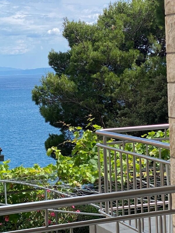 Comfort studio with terrace and sea view A4 | Terrasse/Patio