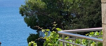 Apartmani Villa Dvorski