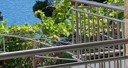 Apartmani Villa Dvorski