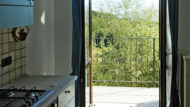 Une cuisine équipée d’une cuisinière à gaz, d’un four et offrant une vue sur un balcon doté d’une rambarde en métal et de plantes à l’extérieur.