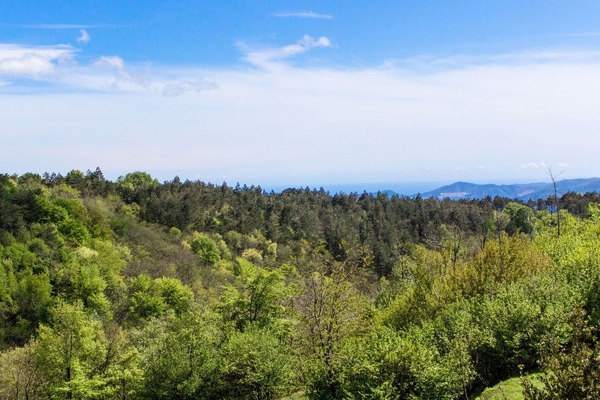 Wolke, Himmel, Pflanze, Natürliche Landschaft, Hochland, Baum, Terrain, Kumulus, Gras, Immergrün