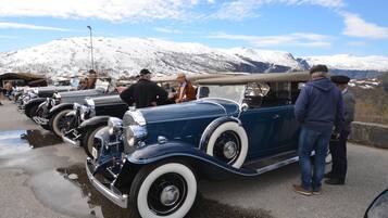 A vintage car exhibition with classic cars parked in a row, set against a snowy mountain backdrop.