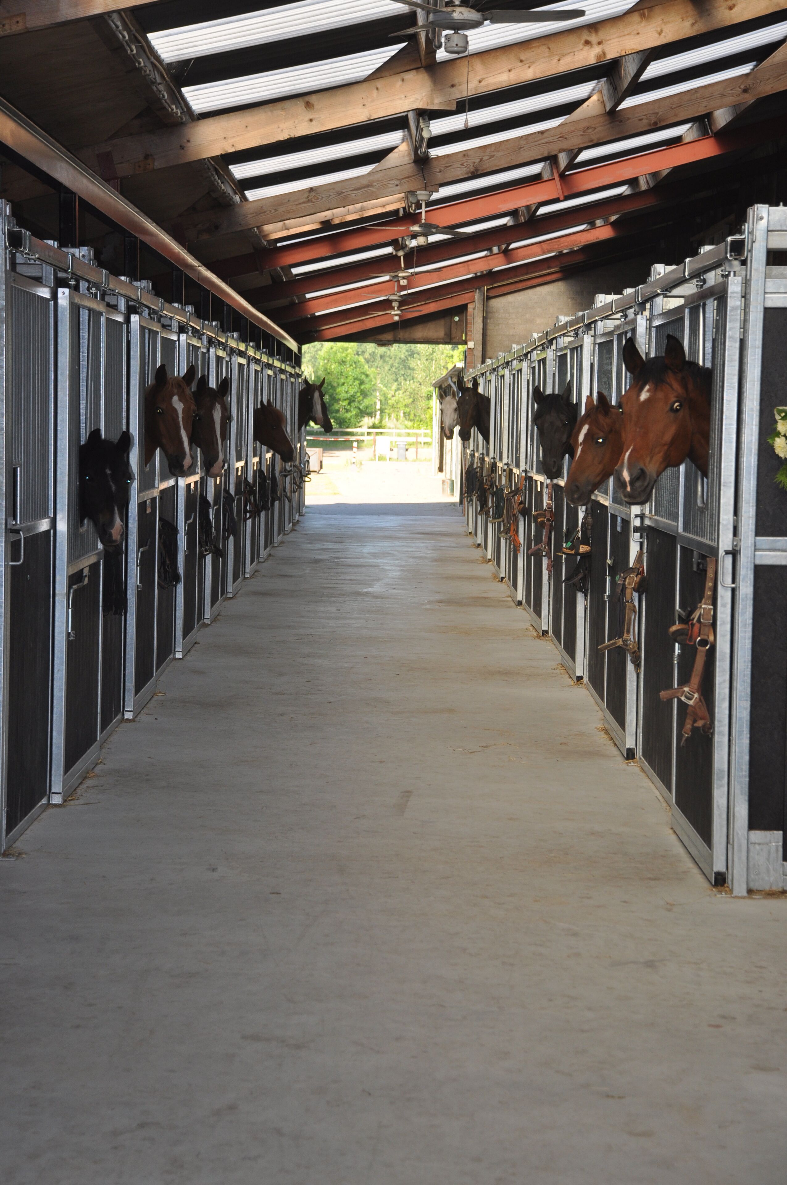 Foto - B&B de Rekkendonken