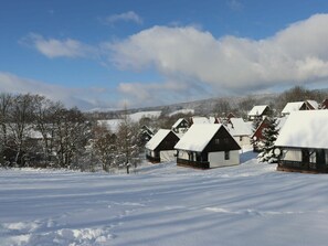 Exterior - Stunning private villa for 6 people with WIFI, pool, TV, terrace and pets allowed (Dvur Králové Nad Labem)