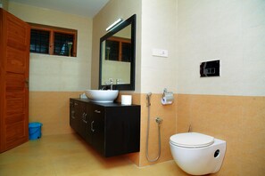 Shower, hair dryer, bidet, towels