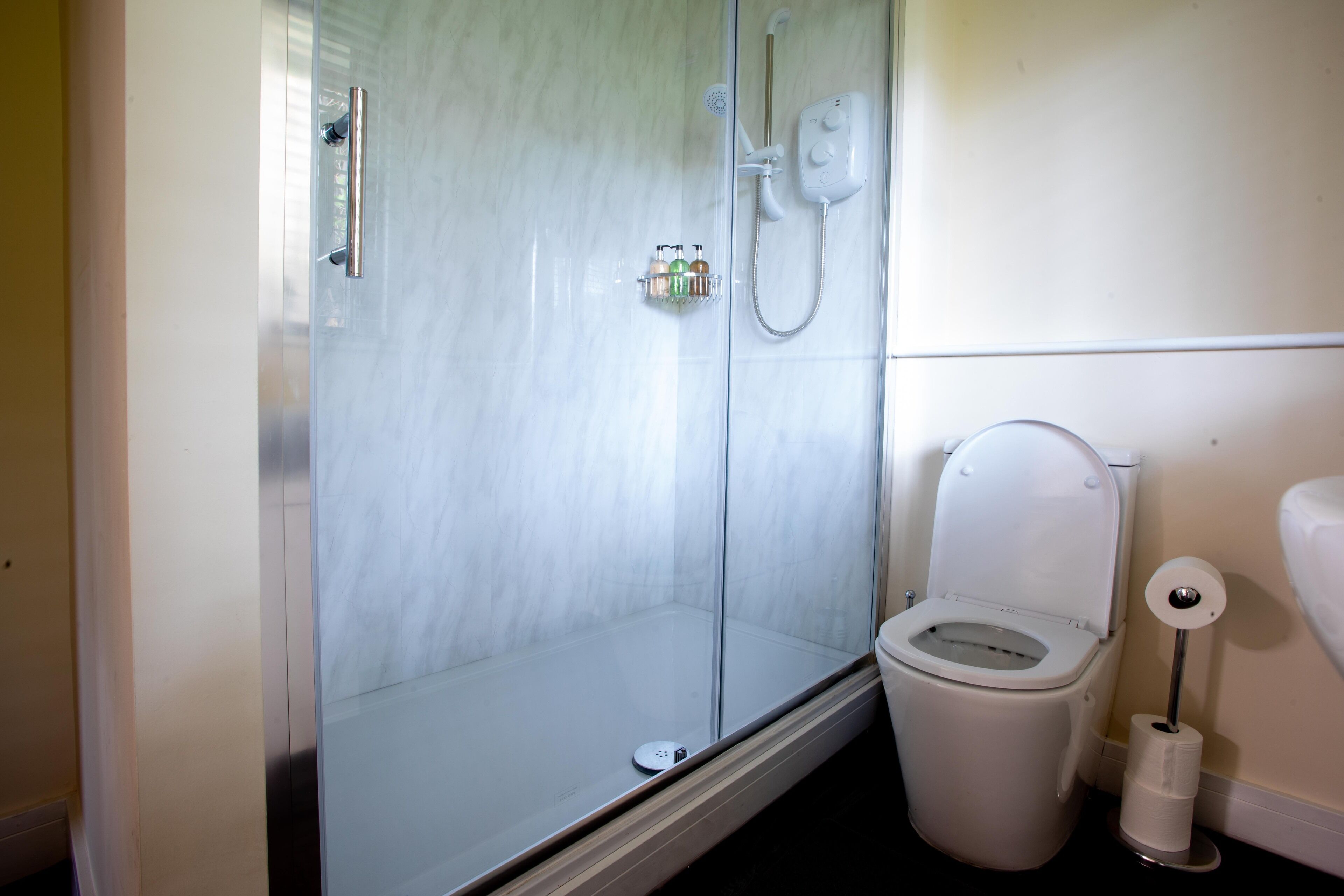 A bathroom with a glass-enclosed shower, a white toilet, and a toilet paper holder.