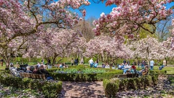 Parco della struttura