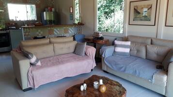 Televisor, Netflix i serveis de streaming