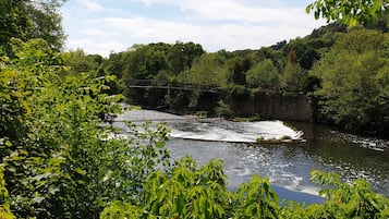 Un río con un puente y abundante vegetación.